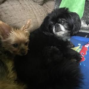 Meet your Posher, Cindy